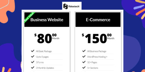 Get a business website on Fidextech Net 30 credit.